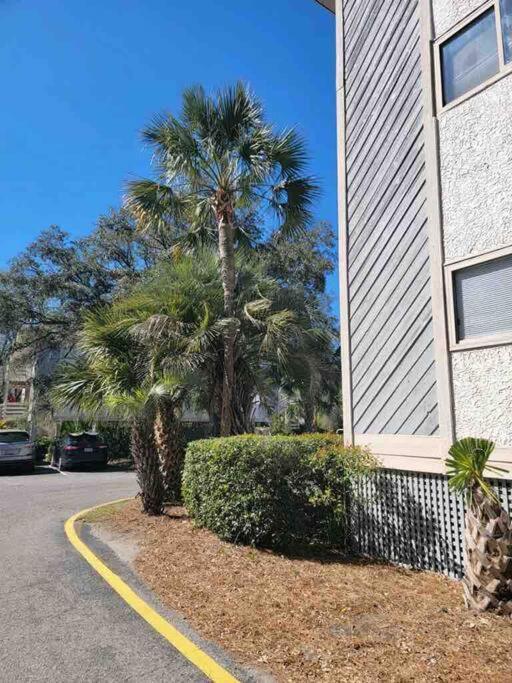 הילטון הד איילנד 2022 Renovated 2-Bdrm Cozy, Lovely Condo W/Parking! מראה חיצוני תמונה